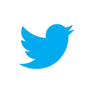 twitter logo bird neu